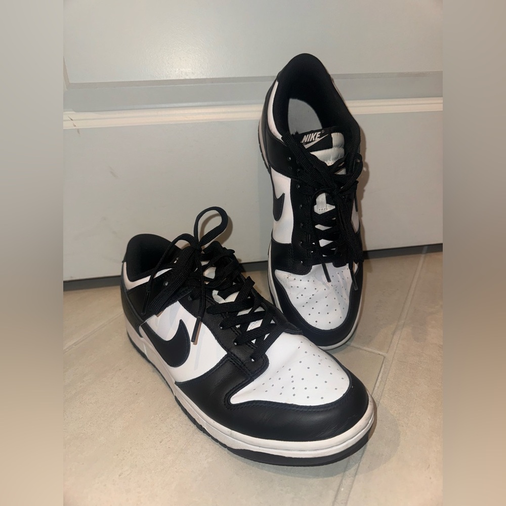 Nike Dunks for men